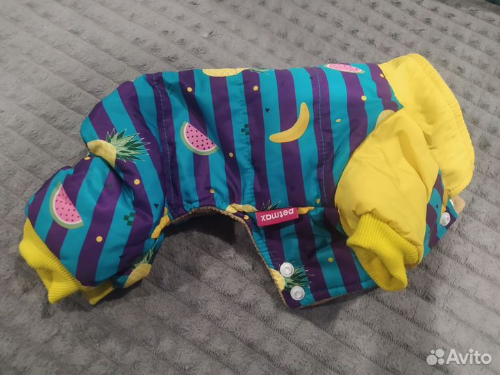 Одежда для собак