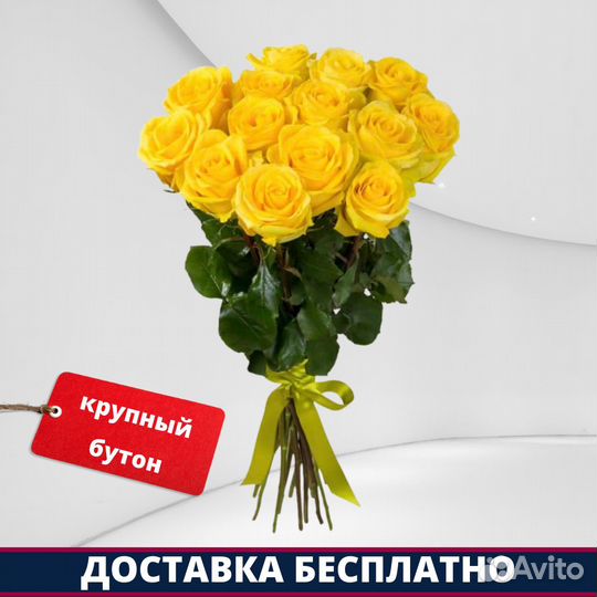 Розы Эквадор - 13 шт. 70 см