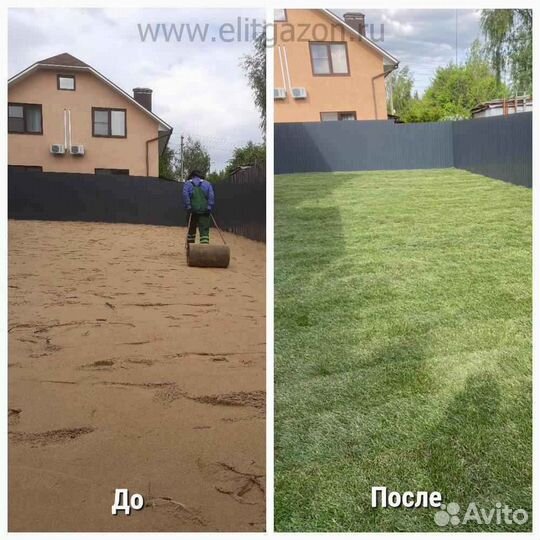 Укладка и продажа рулонного газона