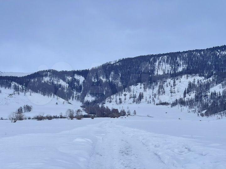 Участок 1,9 га (СНТ, ДНП)