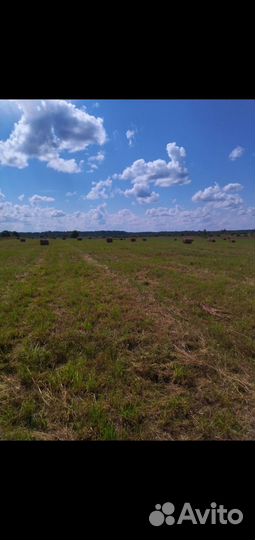 Сено в рулонах