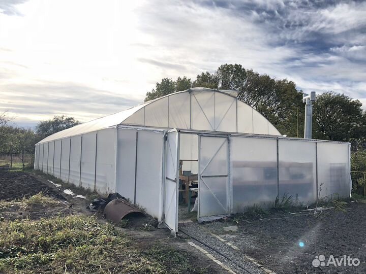 Теплица 160 м2