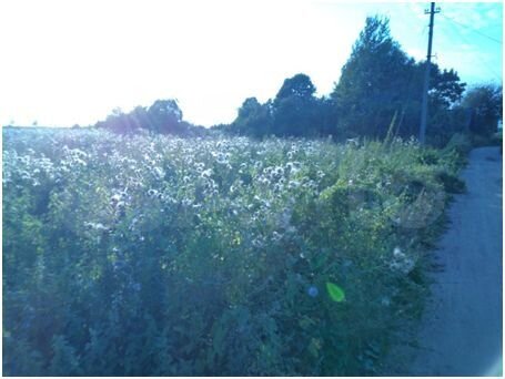 Участок 22 сот. (ИЖС)