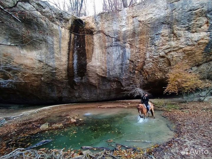 Конные прогулки