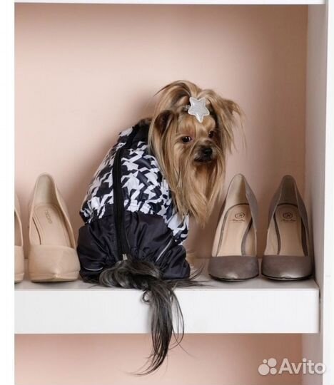 Дождевик для собак