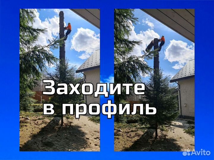 Спил деревьев, Валка частями (смотри видео)