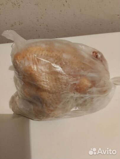 Домашние куриные яйца