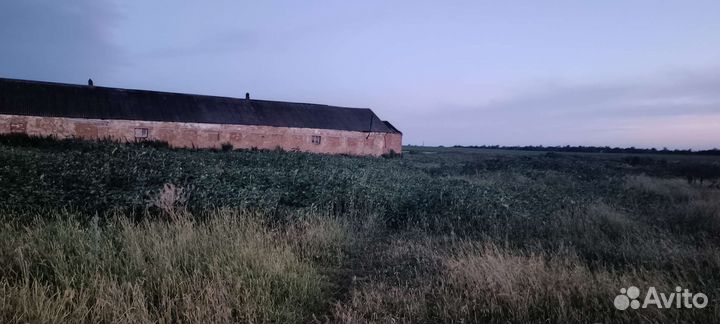 Животноводческая ферма продаю