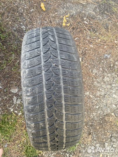 Tigar Winter 1 195/55 R16