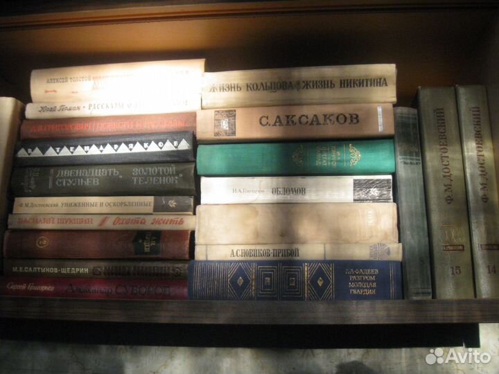 Русская литература, классика