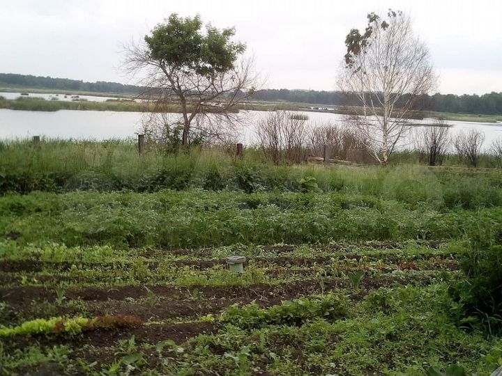 Дом 99 м² на участке 19 сот.