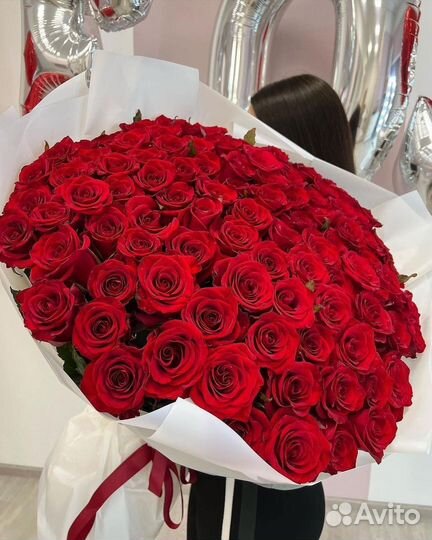 101 роза цветы букеты роза доставка 25 51 75