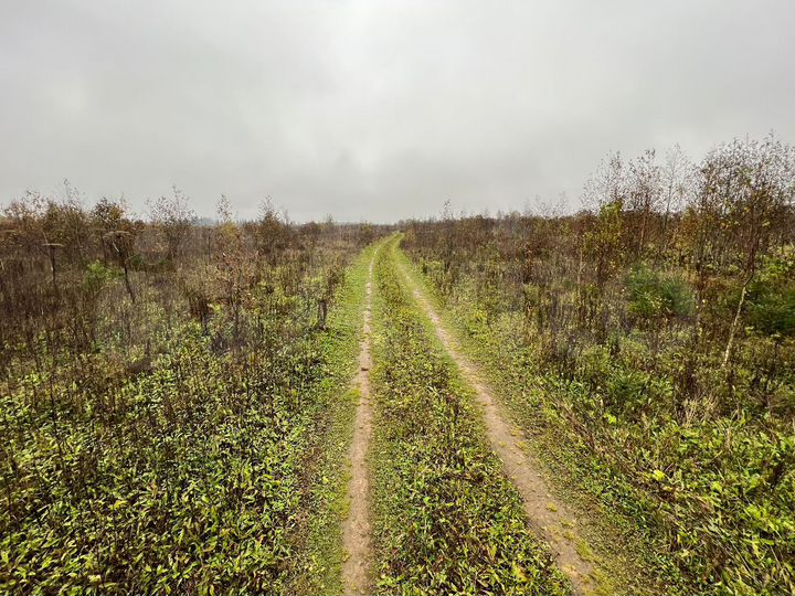 Участок 467 га (СНТ, ДНП)