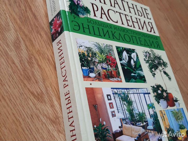 Энциклопедия. Комнатные растения