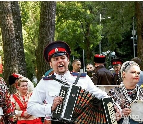 Гармонист для вашего мероприятия #гармонь