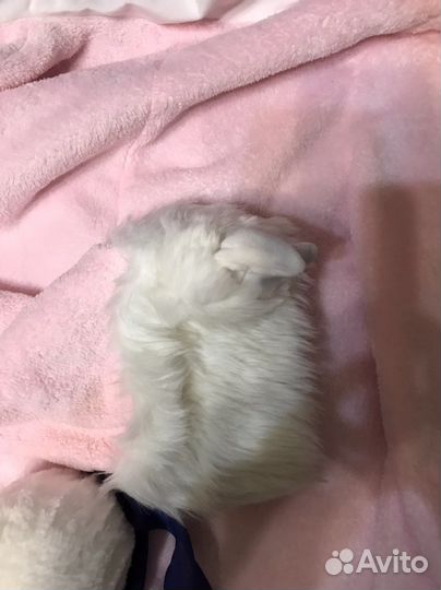 Японский теплый халат на молнии зайчик (косплей)