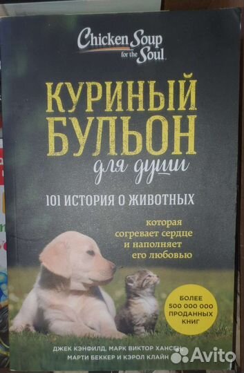 Книга Куриный бульон