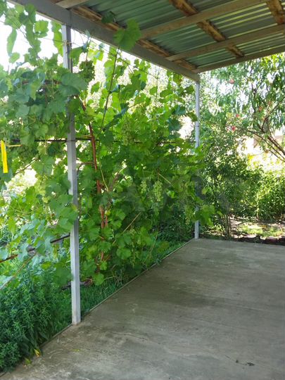 Участок 8 сот. (ИЖС)