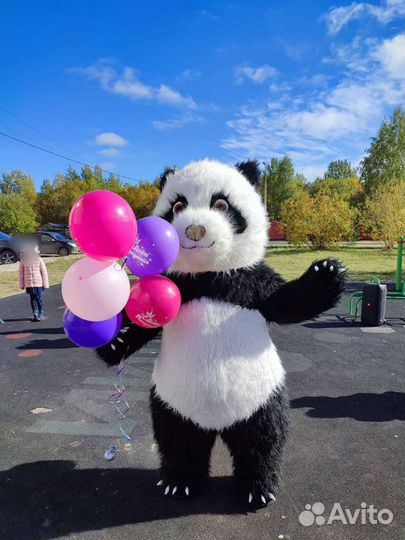 Поздравление