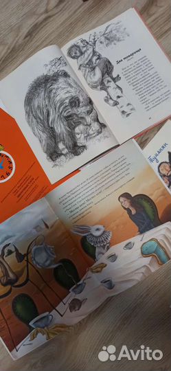 Книги детские новые раскраски