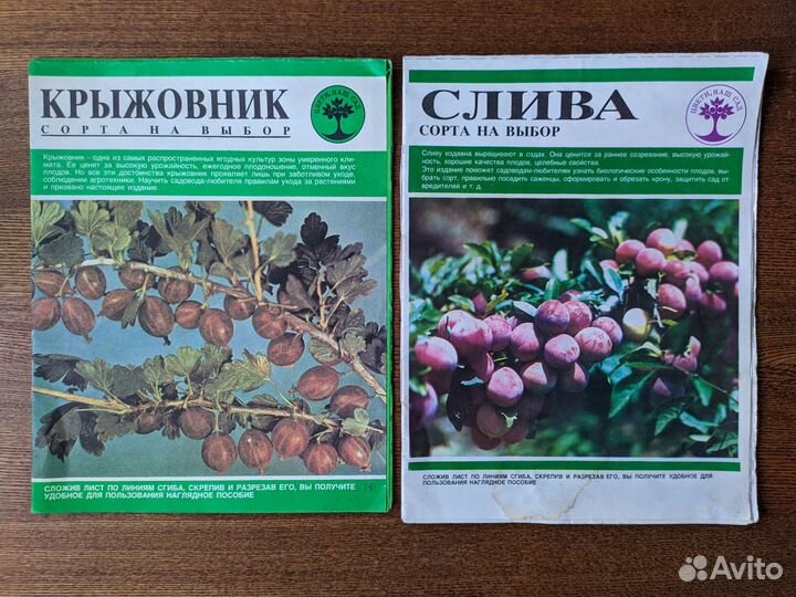 Книги дачникам-садоводам,по кулинарии,домоводству