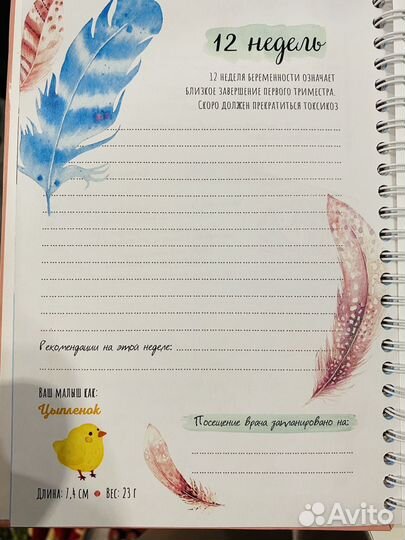 Дневник беременности