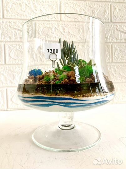 Флорариум в форме 