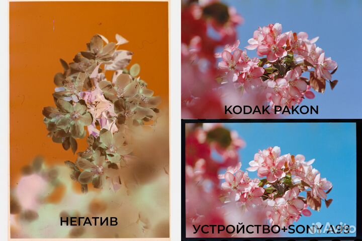 Устройство для оцифровки узкой пленки (135)