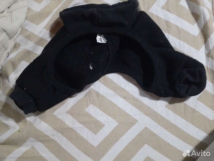 Спортивные штаны на собаку