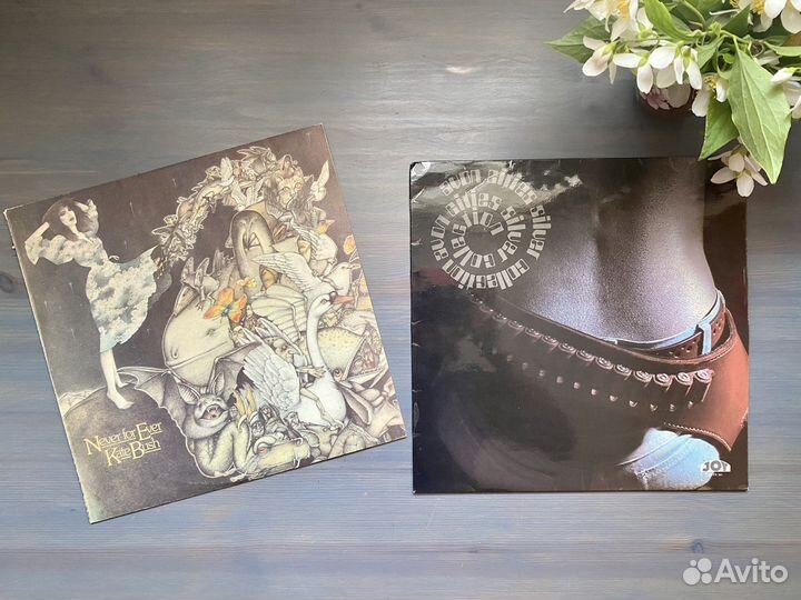 Виниловые пластинки