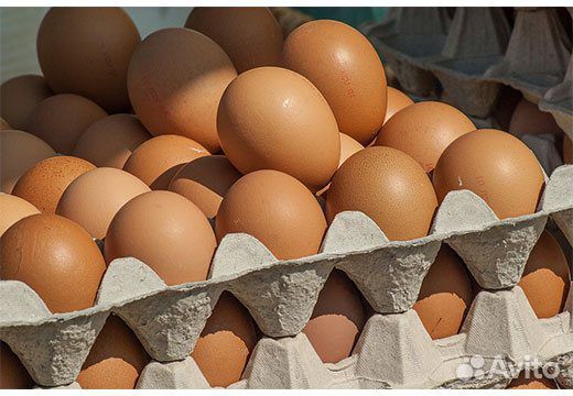 Домашние яйца 100 процентов эко