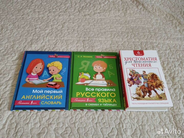 Дополнительные книги для школьников