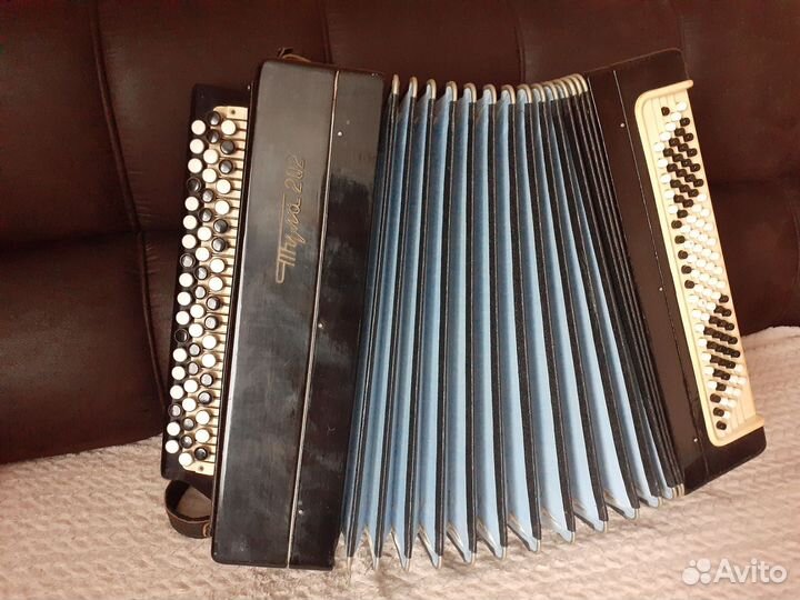 Баян Тула 202