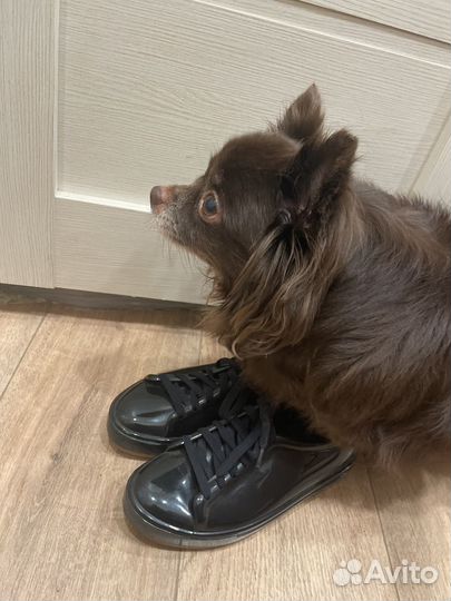 Кеды женские melissa