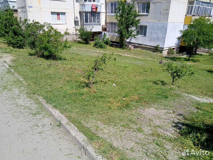 Покос травы триммером