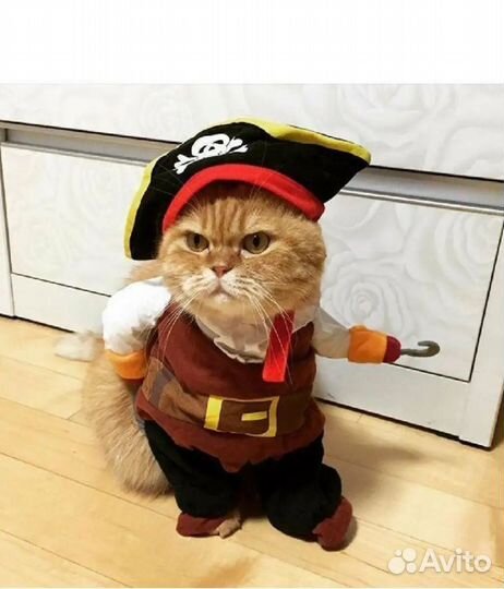 Костюм для котика, р-р L