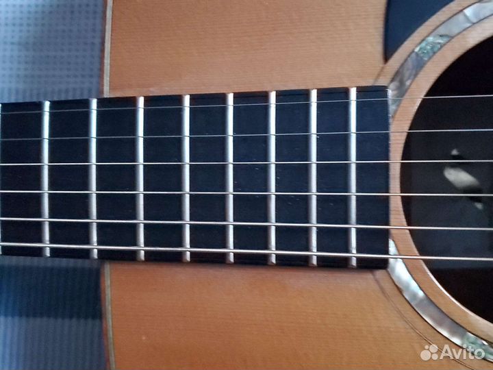 Акустическая Гитара массив Morris M LTD