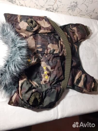 Одежда для собак мелких пород