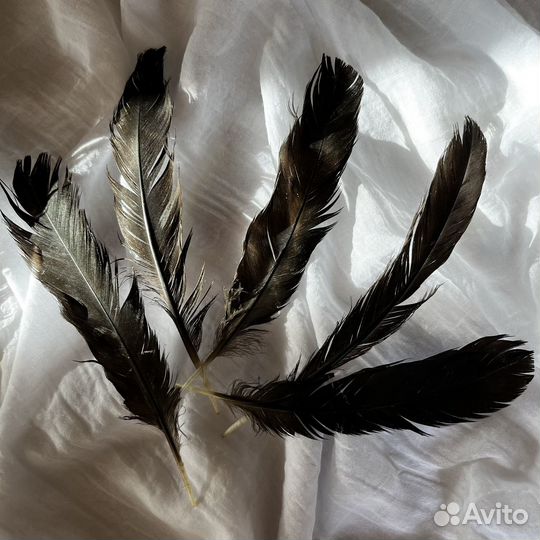 Перья для рукоделия творчества