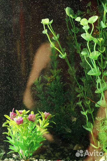 Продам аквариум б/у на 140 литров и тумбу