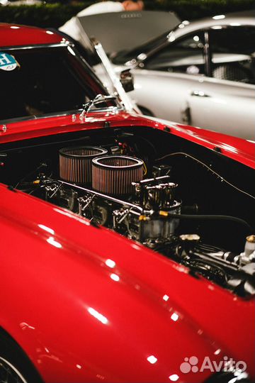 Автоэлектрик с выездом только оживление авто 24 7