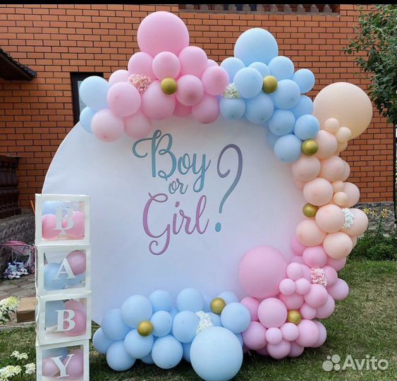 Фотозона на гендер пати в аренду