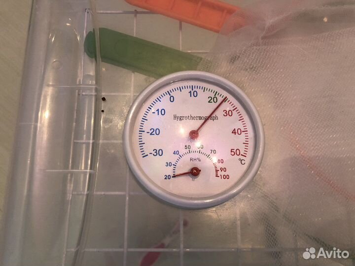 Ферма для выращивания бабочек большая