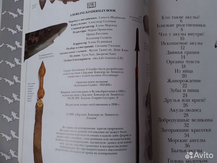 Книги про акул