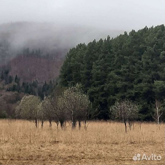 Индивидуальные экскурсии