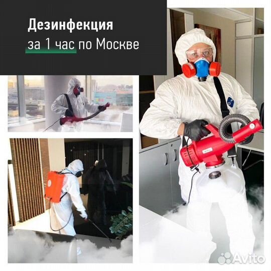 Дезинсекция Дератизация Дезинфекция