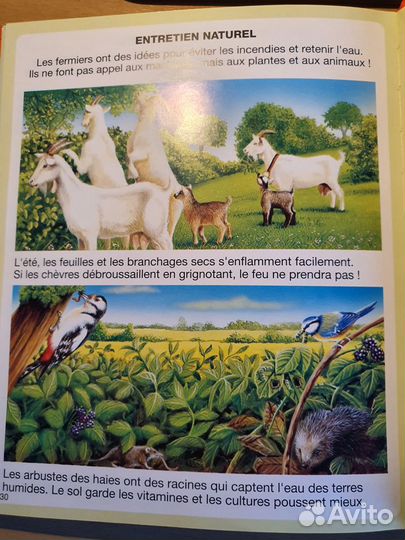 Книга детская L imagerie de la ferme, Fleurus