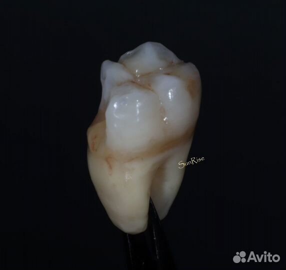 Зубной техник