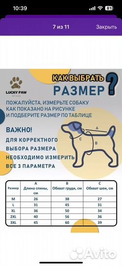 Дождевик для собаки среднего размера