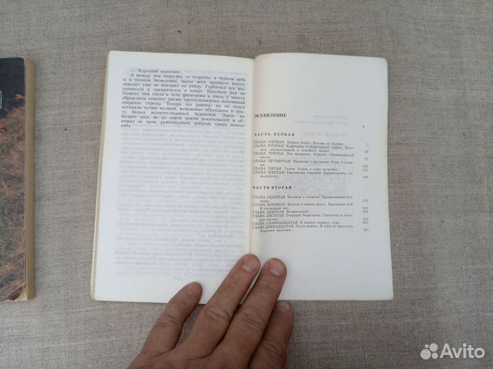 Алексей Пантиелев. Ни солнце, ни луна. 1981 год